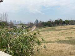 -眉山湿地公园(东坡区)