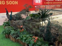 -和府捞面(中山龙之梦店)