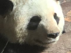 -济南野生动物世界