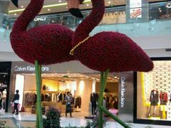 -凯德广场(学府店)