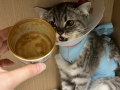 -纳吉亚猫专科动物医院博雅分院