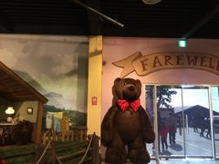 -济州岛泰迪熊博物馆