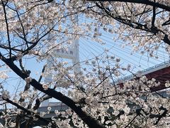 -南浦大桥长途旅游客运站