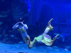 -顺德南宏海立方海洋公园