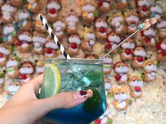 蓝柑苏打-柴犬高等学院·狗咖·柴犬售卖·宠物训练