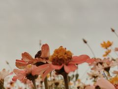 -映月湖中央公园