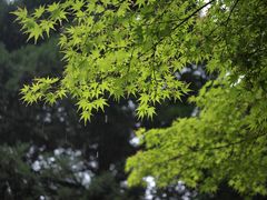 -陕西师范大学(雁塔校区)