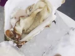 -熹悟海鲜火锅·广式打边炉