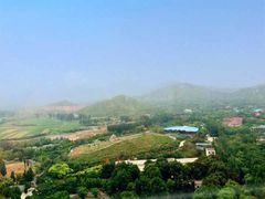 -石家庄市动物园