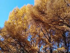 -长春市南湖公园