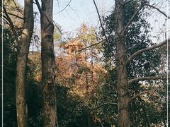 -浏阳石牛寨风景区