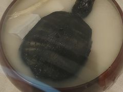 -广东中医药博物馆