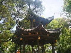 -金鸡山公园