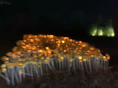 -大塘金香草谷
