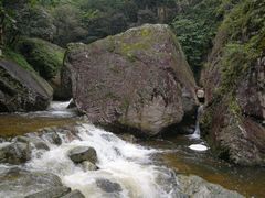 -牛背梁国家森林公园