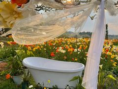 -名花谷生态庄园