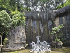 -西双版纳原始森林公园