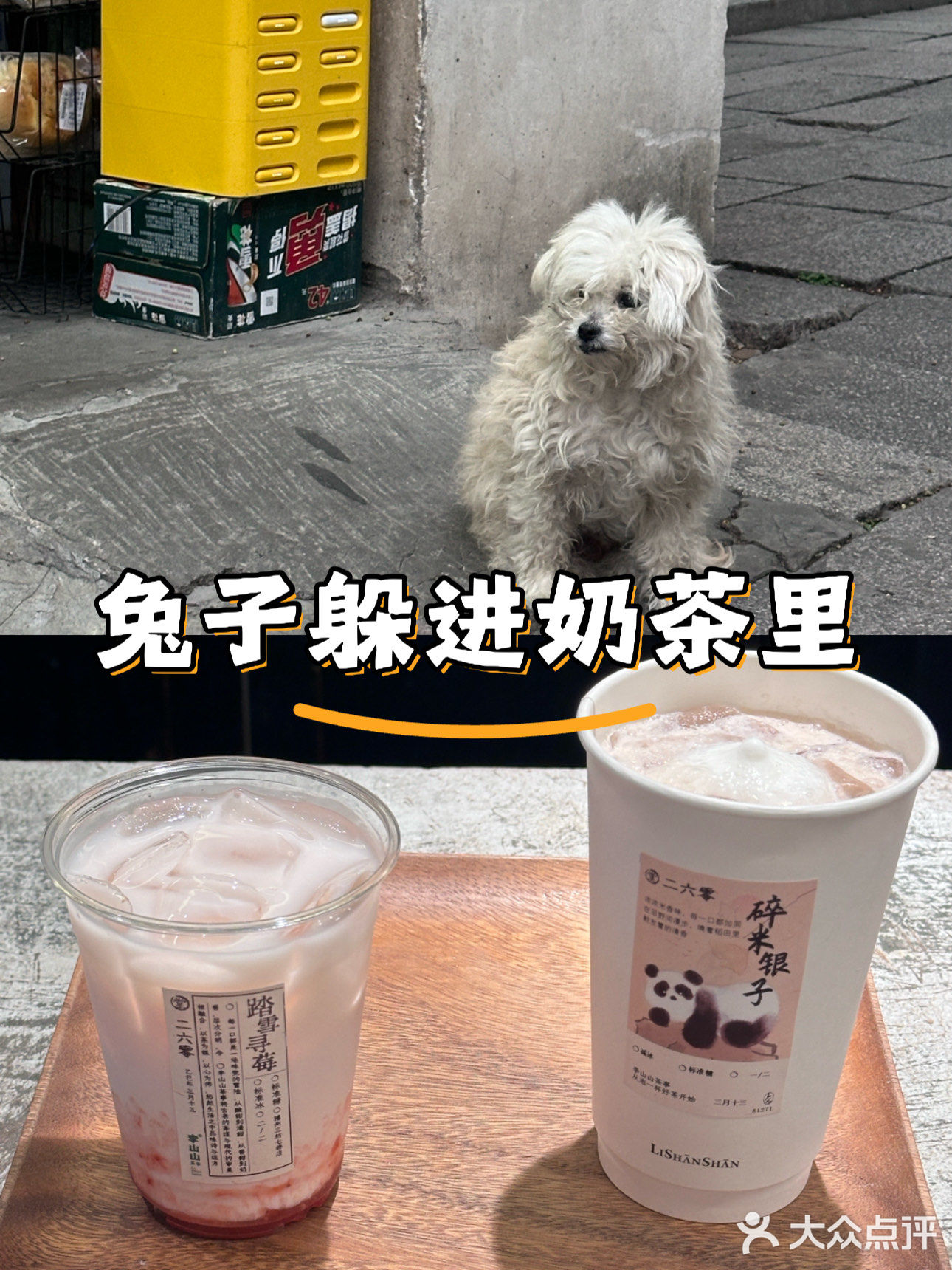 我的布偶也想尝尝奶茶