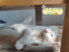 -WATER CAFE(广厦店)