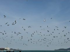 -威海国际海水浴场旅游区