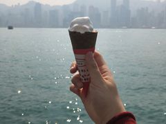 -富豪雪糕车流动点(尖沙咀店)