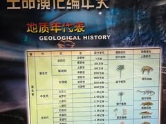 -国家自然博物馆