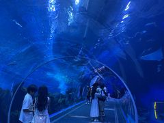 -成都浩海立方海洋公园