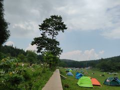 -武陵山森林公园