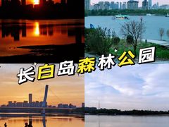 -长白岛森林公园