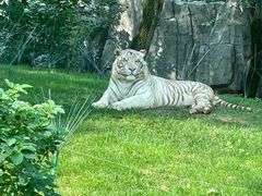 -北京野生动物园
