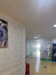 -河南京城皮肤美容医院