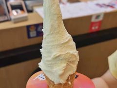 -野人先生现做冰淇淋(北京环宇荟店)