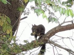 -抚顺煤矿博物馆