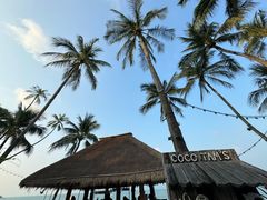 -Coco Tam’s