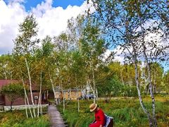 -御道口草原森林风景区