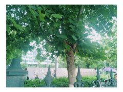 -武汉大学人民医院(首义院区)