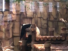 -泉州海丝野生动物世界