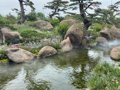 -罗红摄影艺术馆