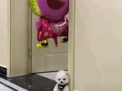 -好成财牛排馆(涂门街总店)