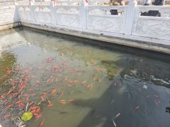 -大悲禅寺