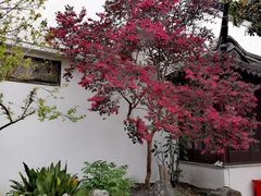 -中国昆曲博物馆