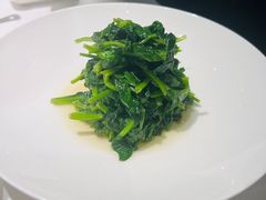 巧拌豆苗-四季民福烤鸭店(王府井东安门店)