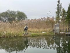 -溱湖国家湿地公园