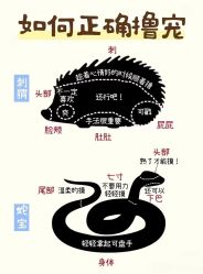 -神奇动物撸宠馆·羊驼·小浣熊·异宠(豫园店)