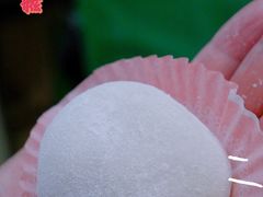 -澳门长洲糯米糍(柯打苏沙街店)