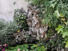 -美味之家·湖景农家乐(太湖东山店)