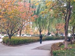 -西安青龙寺遗址景区