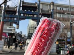 -和禄德冰糖葫芦(东四朝内菜市场店)