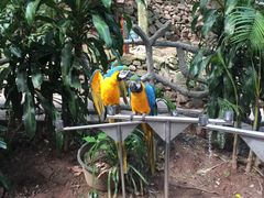 -湄公河秘制烤鱼(西双十贰城商业中心店)