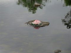 android_upload_pic-南诏风情岛